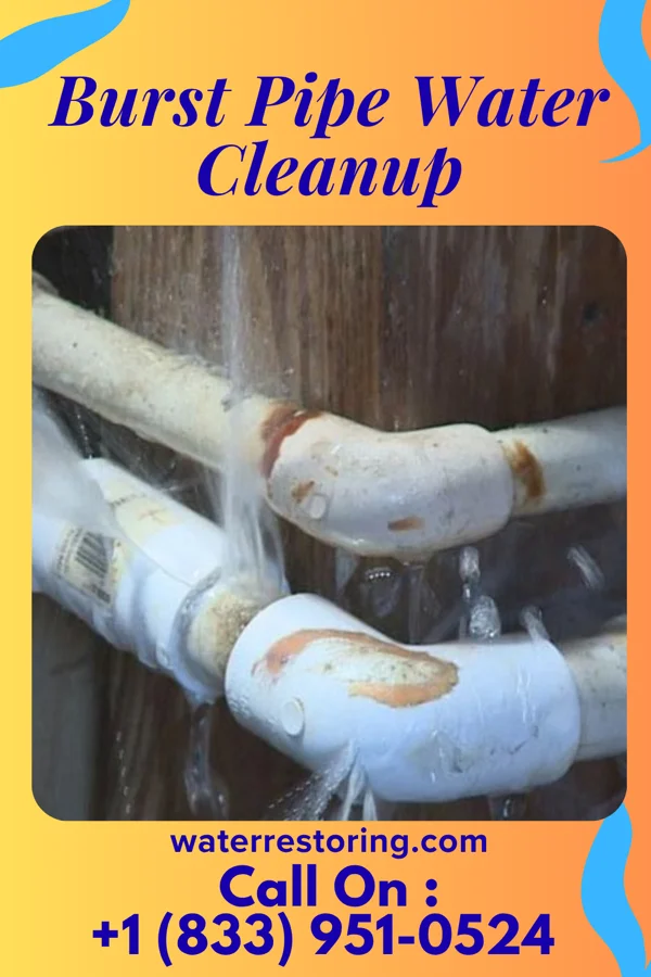 Burst Pipe Water Cleanup in Holts Summit, MO