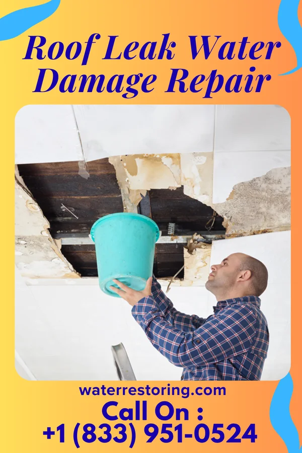 Roof Leak Water Damage Repair in Holts Summit, MO